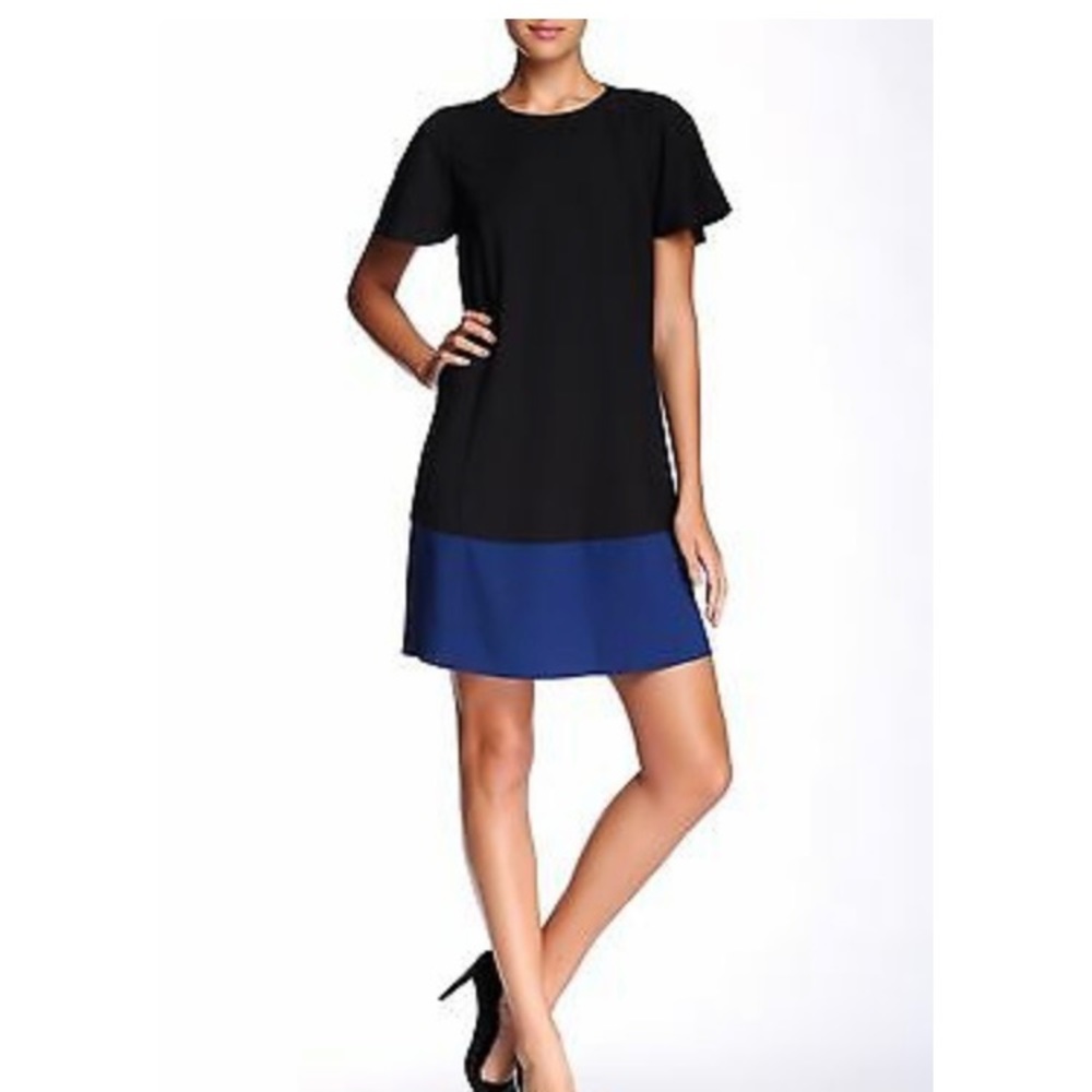 RACHEL ZOE Annalee color block dress